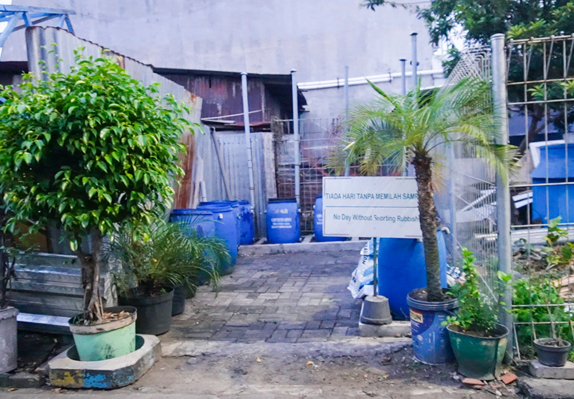 Outdoor area with blue barrels and plants
